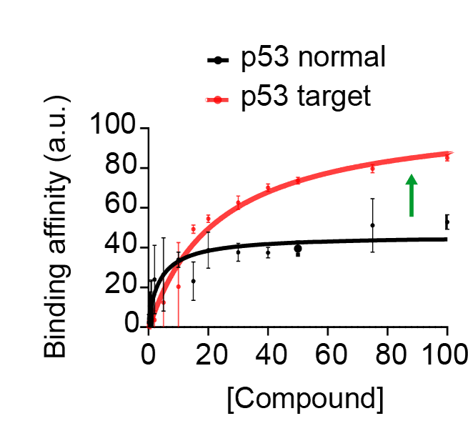 General-binding-figure-website
